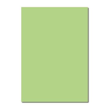 Sınar 41A Yeşil 50x70 120 gr Fon Kartonu