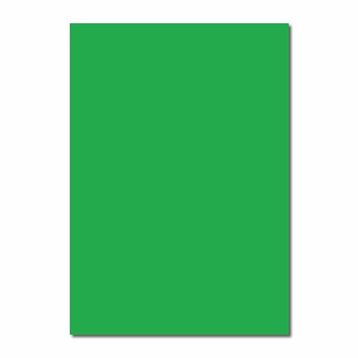 Sınar FK321 Fosforlu Yeşil 50x70 155 gr Fon Kartonu