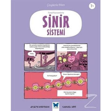Sinir Sistemi - Joseph Midthun