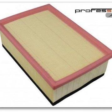 Sıon P307 Dw10ated 2,0hdı P206 P307 C4 Vts Ew10j4s sungerlı Hava Filtresi