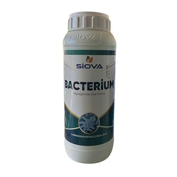 Siova Bacterium 1 lt Mikrobiyal Gübre
