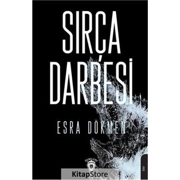 Sırça Darbesi - Esra Özlem Dökmen