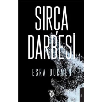 Sırça Darbesi - Esra Özlem Dökmen