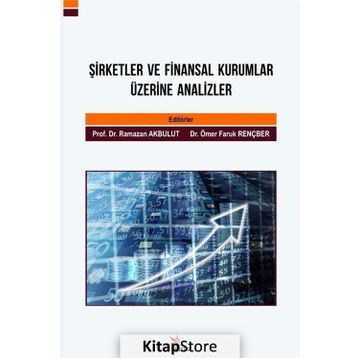Şirketler ve Finansal Kurumlar Üzerine Analizler - Kolektif