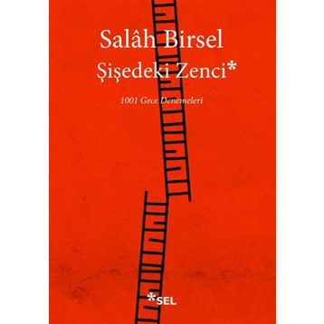 Şişedeki Zenci - Salah Birsel