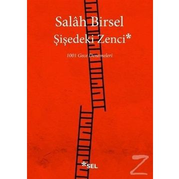 Şişedeki Zenci - Salah Birsel