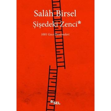 Şişedeki Zenci - Salah Birsel