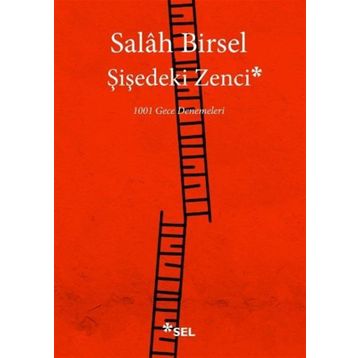 Şişedeki Zenci - Salah Birsel