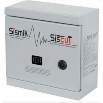 Sismik Siscut Doğalgaz Çıkışlı Deprem Sensörü