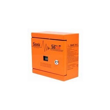 Sismik Siscut/İki Çıkışlı Elektromekanik Deprem Sensörü