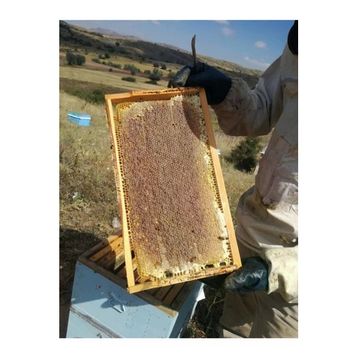 Sivas Dükkan 3 kg Petek Bal