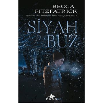 Siyah Buz - Becca Fitzpatrick