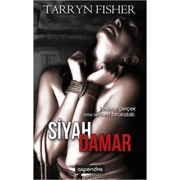 Siyah Damar - Tarryn Fisher