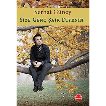 SIZE GENÇ ŞAIR DIYENIN... - SERHAT GÜNEY