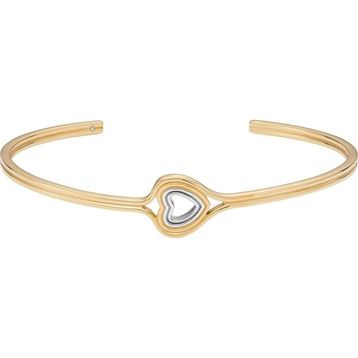 Skagen SKJ1678-998 Kalpli Kadın Bileklik