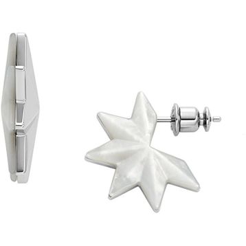 Skagen SKJ1777-040 Yıldız Kadın Küpe
