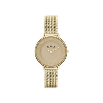Skagen SKW2212 Bayan Kol Saati