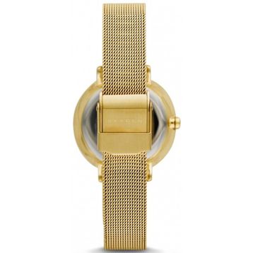 Skagen SKW2212 Bayan Kol Saati