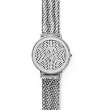 Skagen SKW2389 Bayan Kol Saati