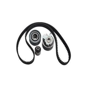 SKF 03G198119A Volkswagen Passat Triger Seti