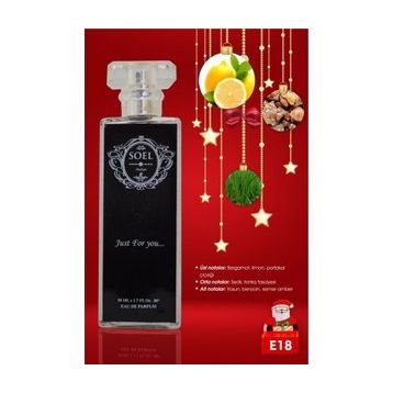 Soel Parfüm E18 Pourhome EDP 50 ml Erkek Parfümü