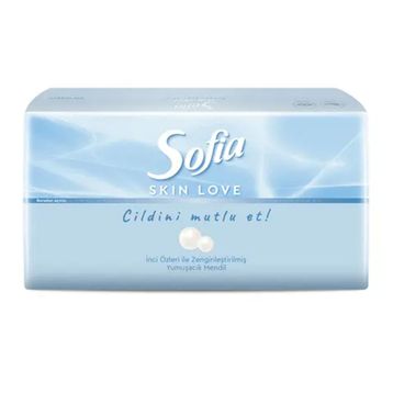 Sofia Skin Love 100'lü Mendil