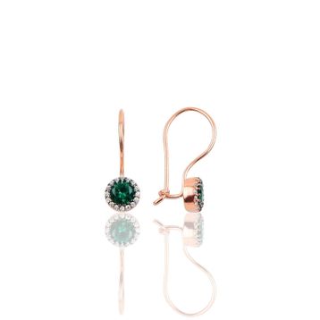 Söğütlü Silver SGTL10069YSL Kadın Küpe