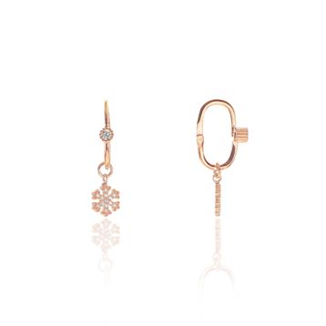 Söğütlü Silver SGTL8947 Kadın Küpe