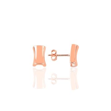 Söğütlü Silver SGTL9211 Kadın Küpe