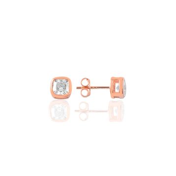 Söğütlü Silver SGTL9231 Kadın Küpe