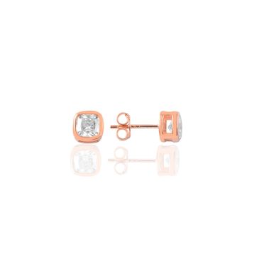 Söğütlü Silver SGTL9231 Kadın Küpe