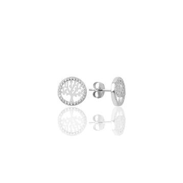 Söğütlü Silver SGTL9236 Kadın Küpe