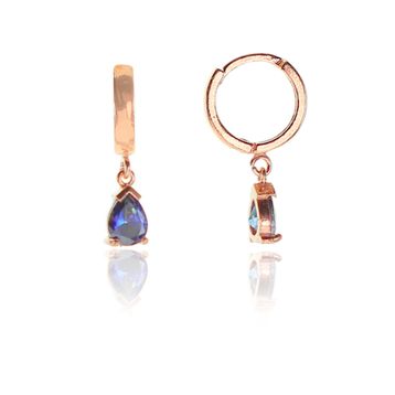 Söğütlü Silver SGTL9338 Kadın Küpe