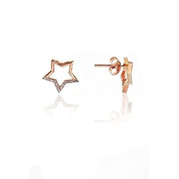 Söğütlü Silver SGTL9377 Kadın Küpe