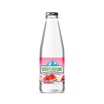 Söğütlüçeşme 200 ml Karpuz & Çilek Aromalı Maden Suyu