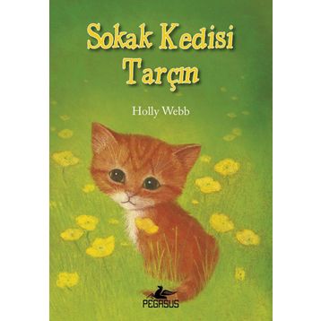 Sokak Kedisi Tarçın - Holly Webb