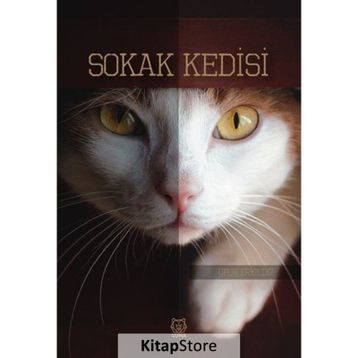Sokak Kedisi Ufuk Eryıldız