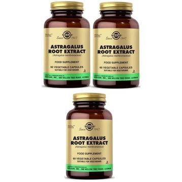 Solgar Astragalus Root Extract 60 Kapsül