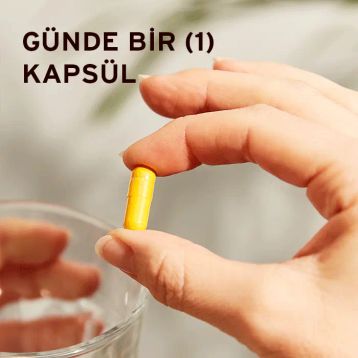 Solgar Turmeric Root Extract 60 Kapsül