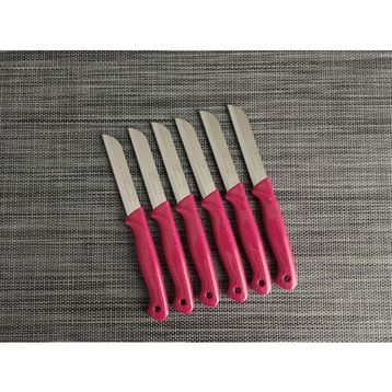 Solingen Simli Pembe 6'lı Meyve Bıçağı
