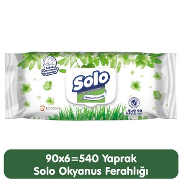 Solo Bahar Temizliği 90x6 540 Yaprak Islak Mendil