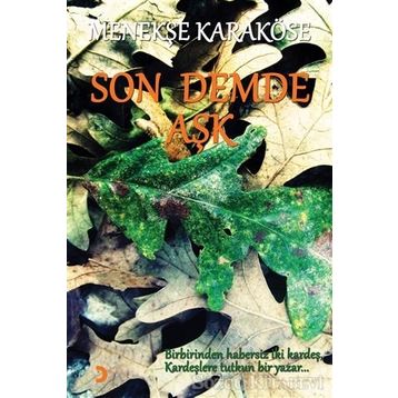 Son Demde Aşk - Menekşe Karaköse