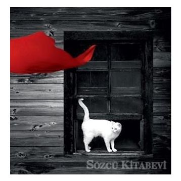 Son Resim - Gökhan Uğur