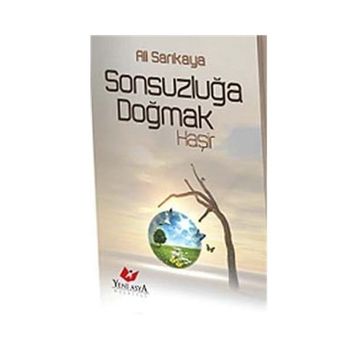 Sonsuzluğa Doğmak - Ali Sarıkaya