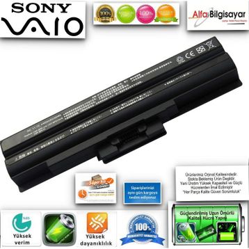 Sony VGP-BPL21 Notebook Bataryası