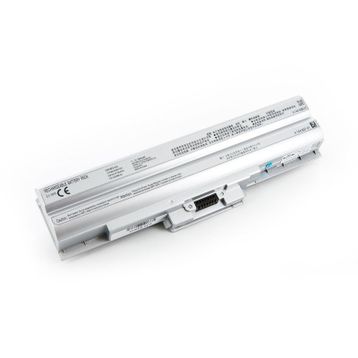 Sony VGP-BPS21 Notebook Batarya