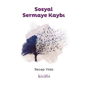 Sosyal Sermaye Kaybı - Recep Yıldız