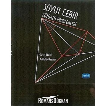 SOYUT CEBIR ÇÖZÜMLÜ PROBLEMLERI - GÜRSEL YEŞİLOT