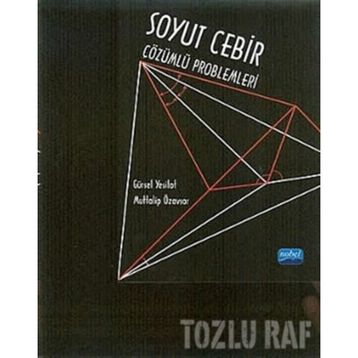 SOYUT CEBIR ÇÖZÜMLÜ PROBLEMLERI - GÜRSEL YEŞİLOT