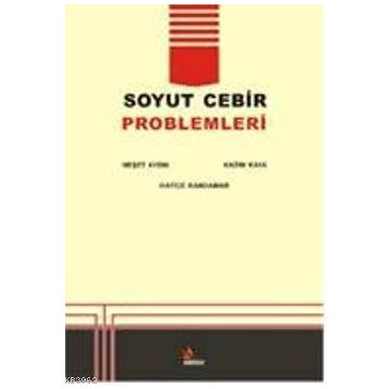 SOYUT CEBIR PROBLEMLERI - NEŞET AYDIN